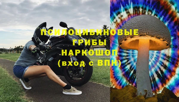 спиды Алексин