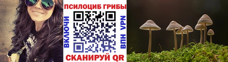 Псилоцибиновые грибы ЛСД  Купить  Чишмы 