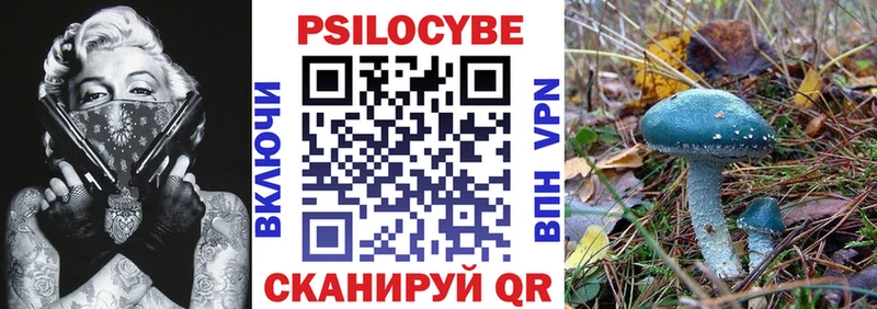 Галлюциногенные грибы мицелий Чишмы